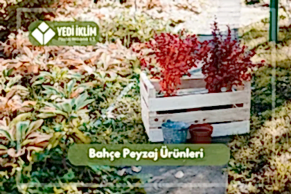 Bahçe Peyzaj Ürünleri
