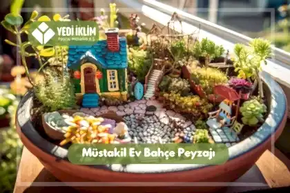 Müstakil Ev Bahçe Peyzaj