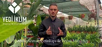 Peyzaj Mimarlığı
