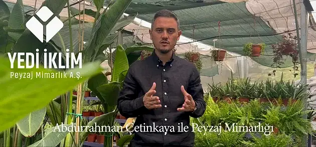 Peyzaj Mimarlığı