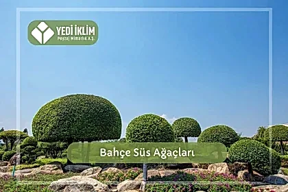 Bahçe Süs Ağaçları