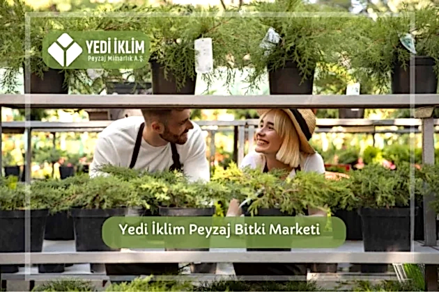 Yedi İklim Peyzaj ile Bitki Marketi
