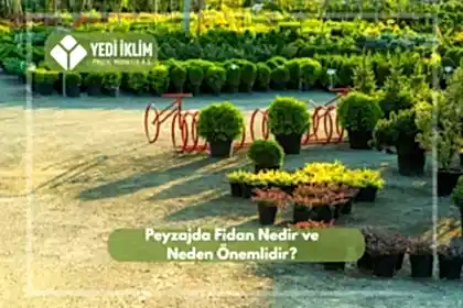 Peyzaj Fidanı Nedir ve Neden Önemlidir?