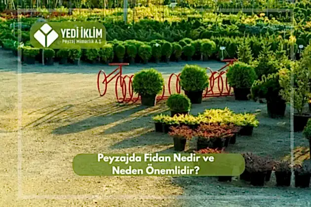 Peyzaj Fidanı Nedir ve Neden Önemlidir?