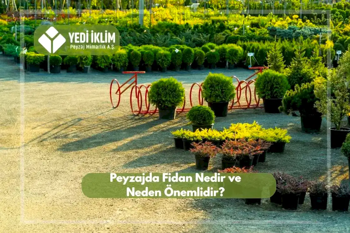 Peyzaj Fidanı Nedir ve Neden Önemlidir?
