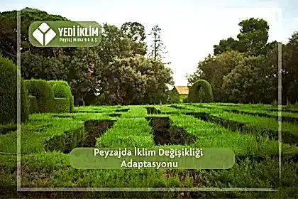 Peyzajda İklim Değişikliği Adaptasyonu
