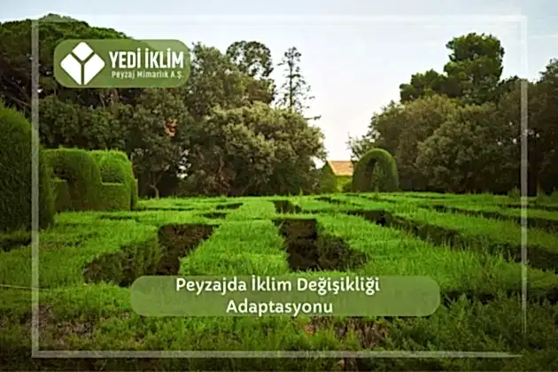 Peyzajda İklim Değişikliği Adaptasyonu