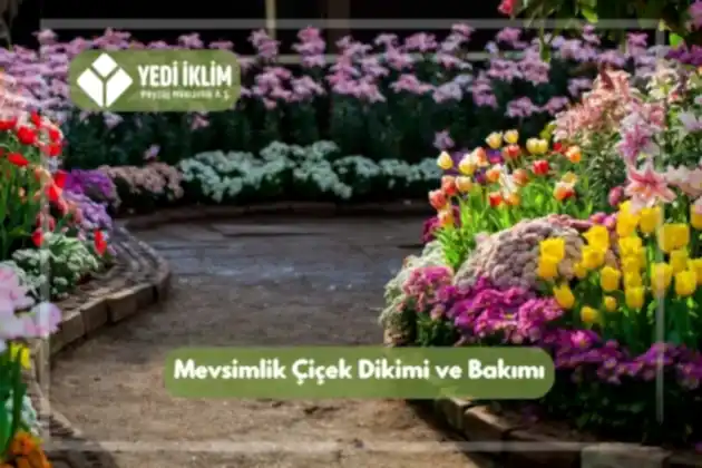 Mevsimlik Çiçek Dikimi ve Bakımı