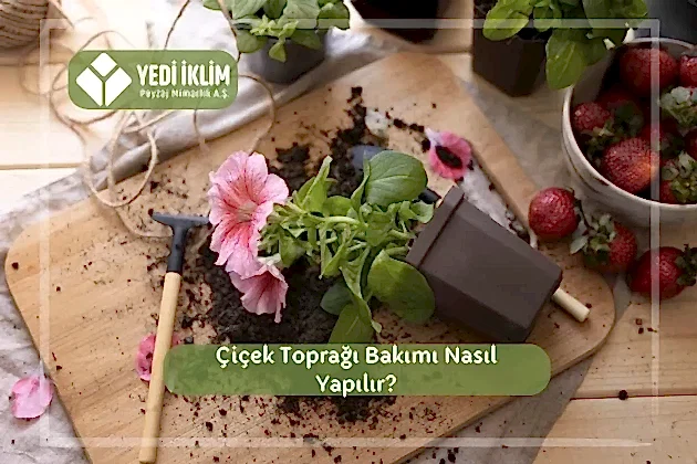 Çiçek Toprağı Bakımı Nasıl Yapılır?