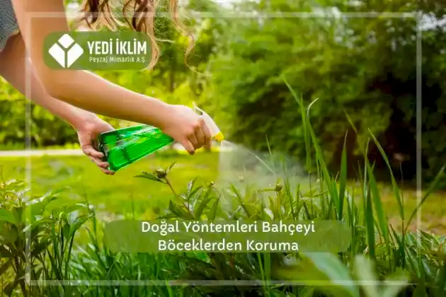 Doğal Yöntemlerle Bahçeyi Böceklerden Koruma