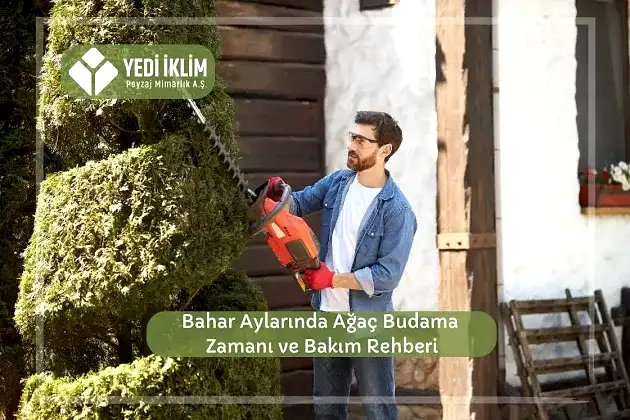 Bahar Aylarında Ağaç Budama Zamanı ve Bakım Rehberi