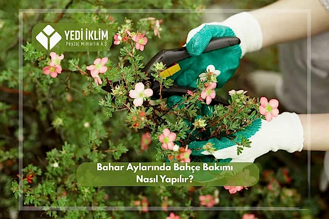 Bahar Aylarında Bahçe Bakımı Nasıl Yapılır?