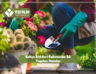 Bahçe Bakımında Sık Yapılan Hatalar
