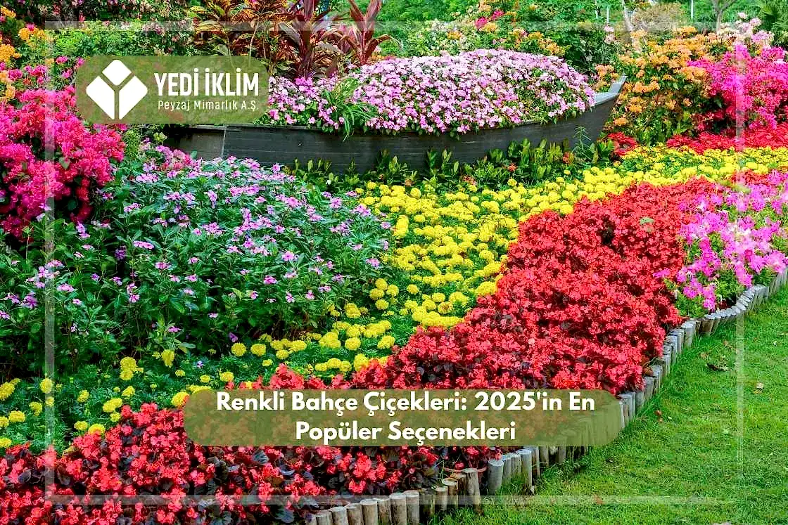 Renkli Bahçe Çiçekleri 2025'in En Popüler Seçenekleri