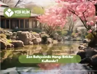 Zen Bahçesinde Hangi Bitkiler Kullanılır?
