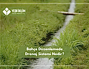 Bahçe Düzenlemede-Drenaj Sistemi Nedir?