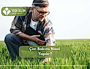 Çim Bakımı Nasıl Yapılır?