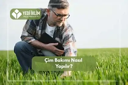 Çim Bakımı Nasıl Yapılır?