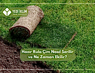 Hazır Rulo Çim Nasıl Serilir ve Ne Zaman Ekilir?