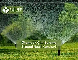 Otomatik Çim Sulama Sistemi Nasıl Kurulur?