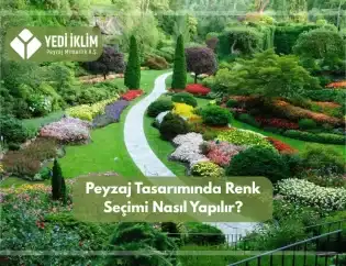 Peyzaj Tasarımında Renk Seçimi Nasıl Yapılır?