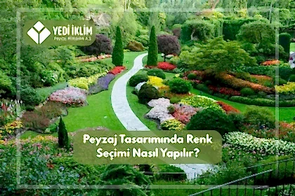 Peyzaj Tasarımında Renk Seçimi Nasıl Yapılır?