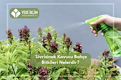 Sivrisinek Kovucu Bahçe Bitkileri Nelerdir?