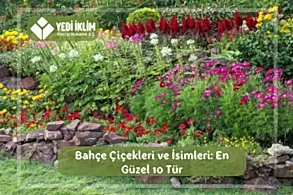 Bahçe Çiçekleri ve İsimleri 1