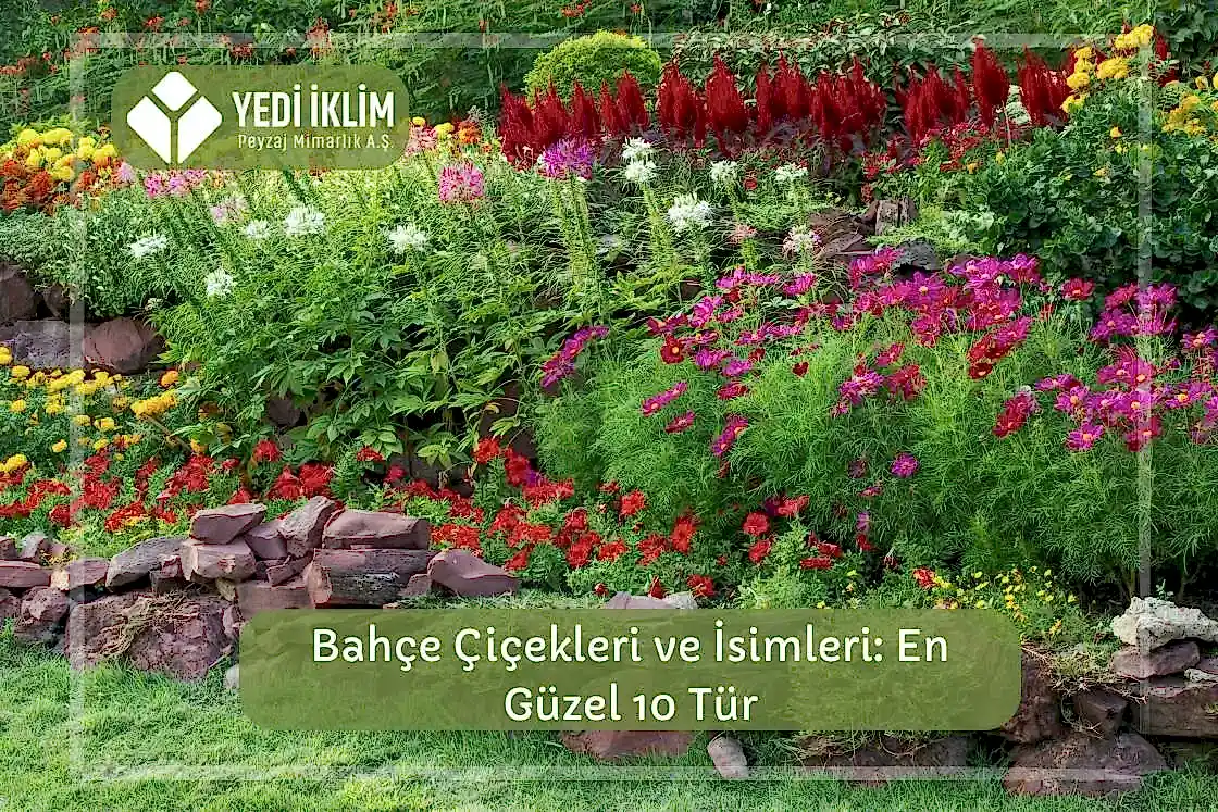 Bahçe Çiçekleri ve İsimleri 1