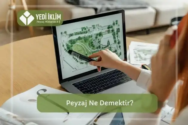 Peyzaj ne demek