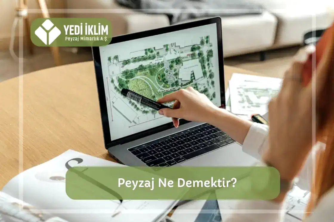 Peyzaj ne demek